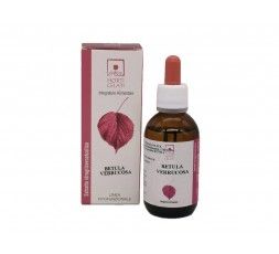 Gemmodericato Betulla linfa - Santiveri 9900000001353