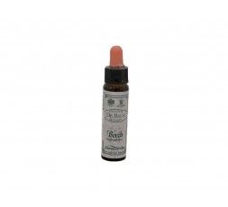 BEECH Fiore di Bach n. 03 Santiveri 5032587000475