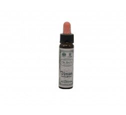 VERVAIN Fiore di Bach n. 31 Santiveri 5032587000758