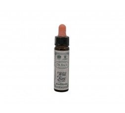 WILD ROSE Fiore di Bach n. 37 Santiveri 5032587000826