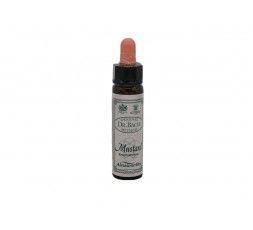 MUSTARD Fiore di Bach n. 21 Santiveri 5032587000659