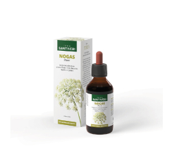 Zefirus No gas plant 100 ml %brand% %ean13%