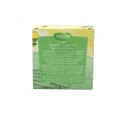 Tè verde Sencha tropicale Filtroscrigno - Hp Italia 8054608125308 2