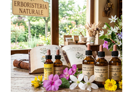 I 38 Fiori di Bach: guida completa a cosa sono e come si scelgono